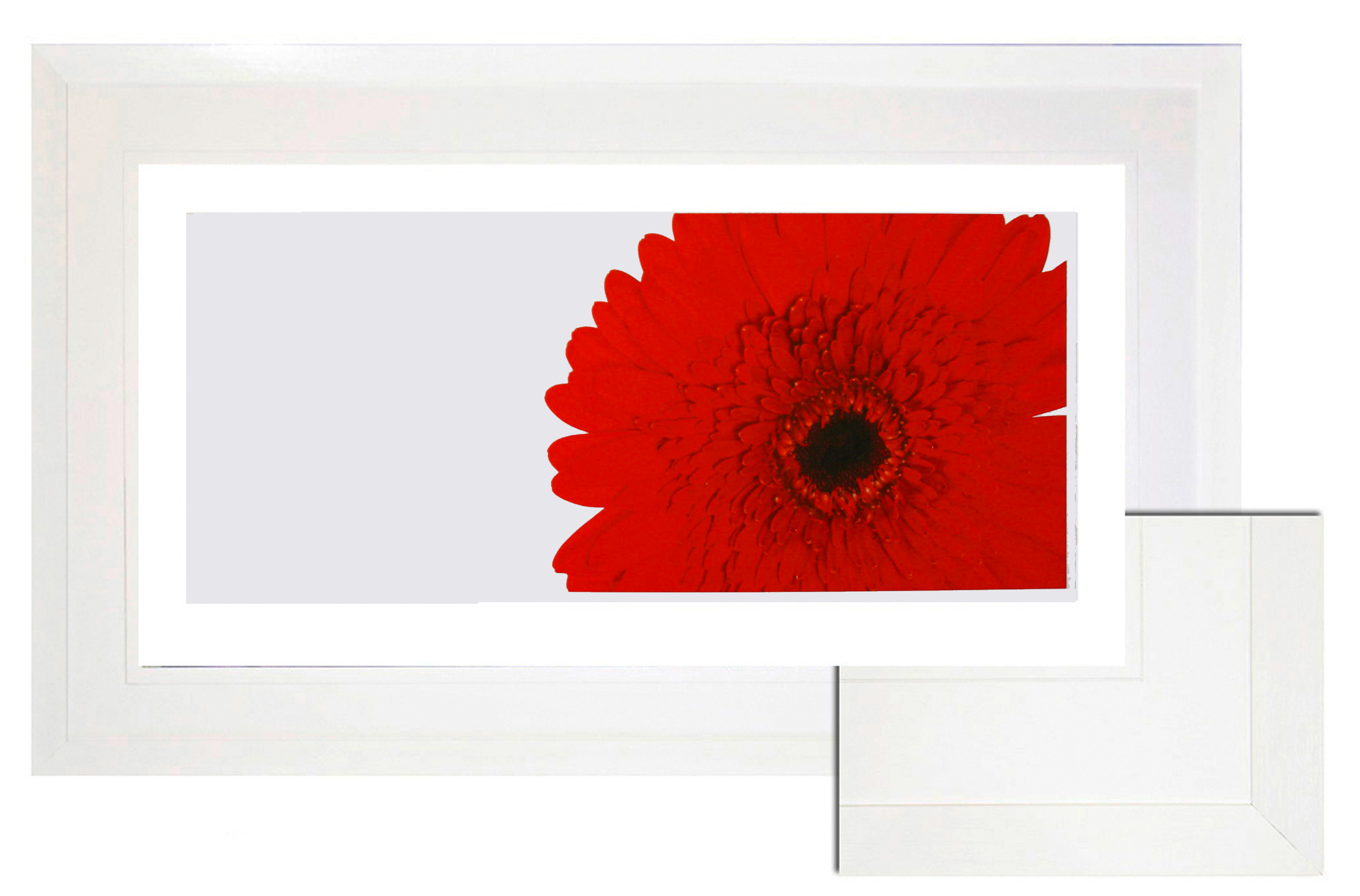 FP171 Wall décor art framed print floral white frame